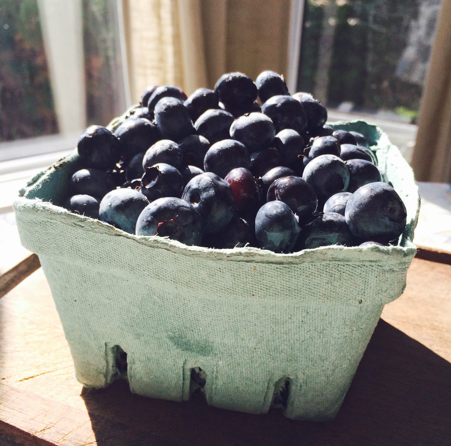 Marie's Pastiche Our French Canadian Roots Recipe for Blueberry Grunt