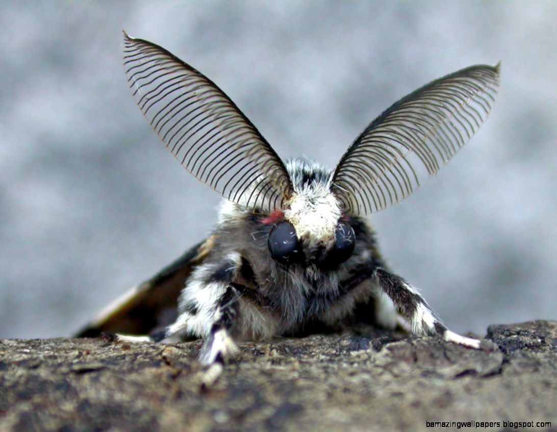 Kenneth Noble is no longer updating this website Kenneth Noble is no longer updating this website