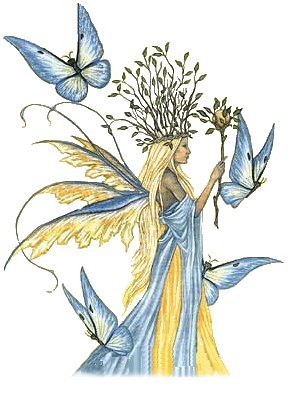 butterfly and fairies