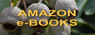 AMAZON e-BOOKS