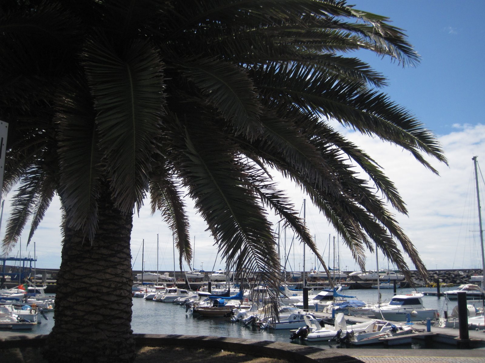 Ponta Delgada Weather