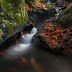 RIBEIRA DOS LIMES
