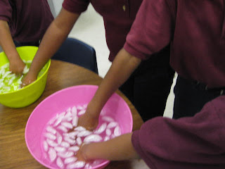 The First Grade Jungle: 100th day and blubber