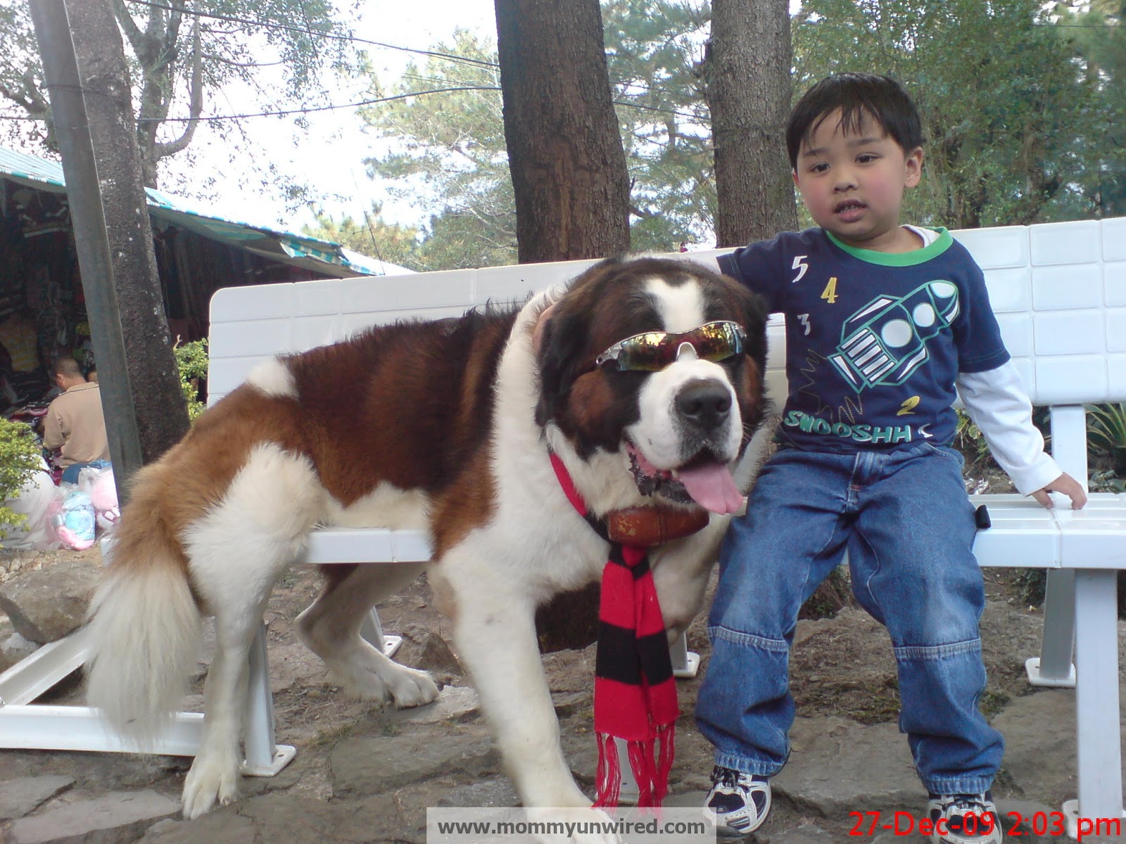 Baguio City There Is Something About This Dog and The Kids! Mommy
