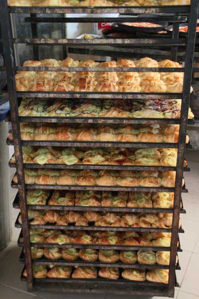 Download Lustige mas amable sprueche For iPhone Free Lustige Mas Amable Sprueche