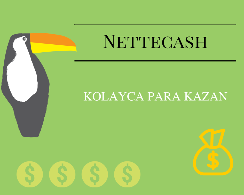 Internetten Para Kazan Earn Money Online Without Investment