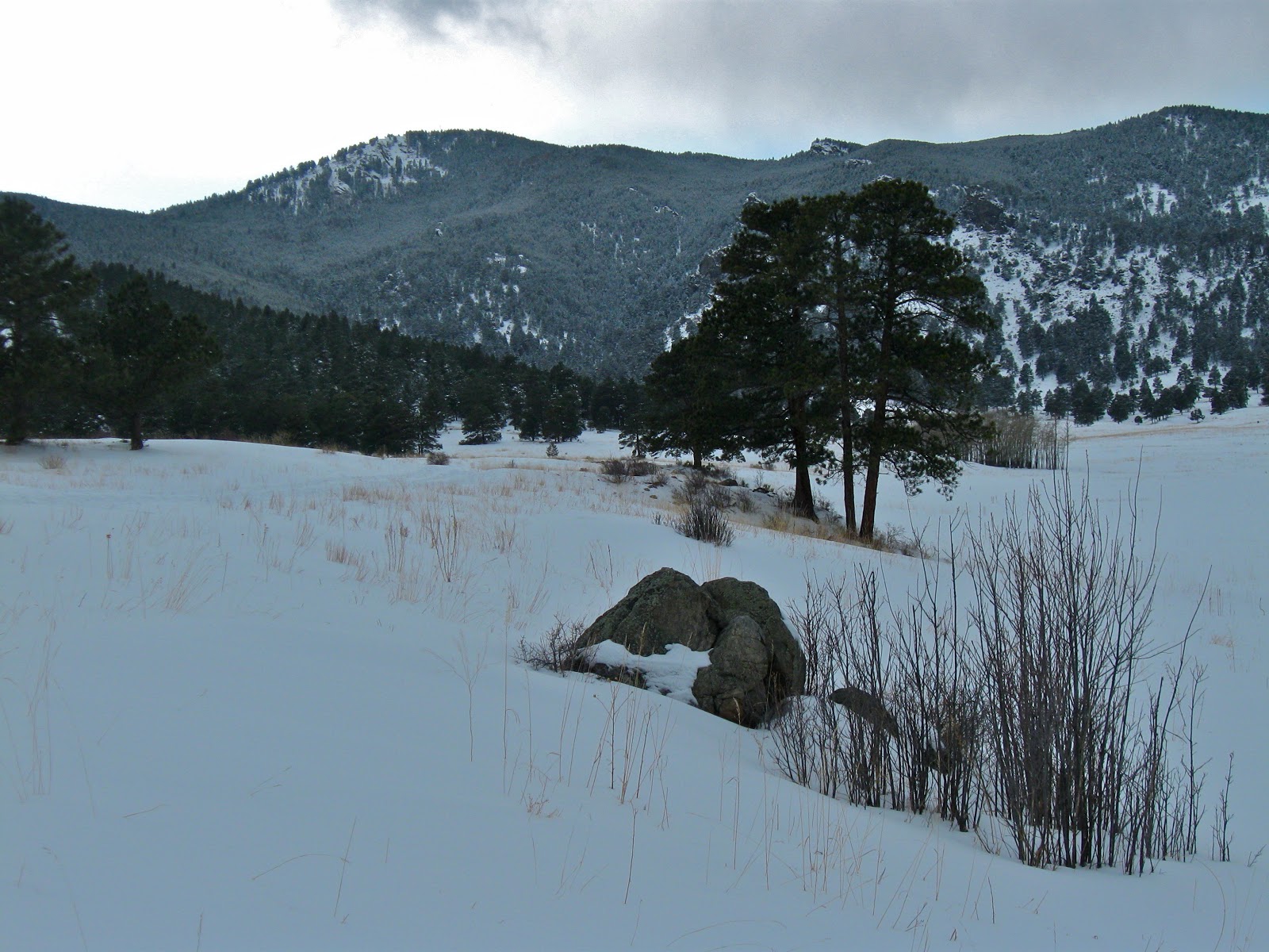Impression Evergreen Colorado Christmas