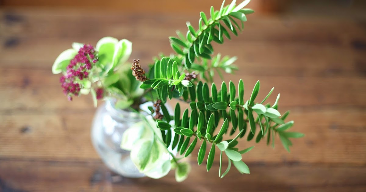 Side Street Style Christmas Wreaths with Laura Ashley