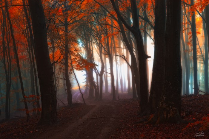 Осенние пейзажи. Janek Sedlar (фотограф)
