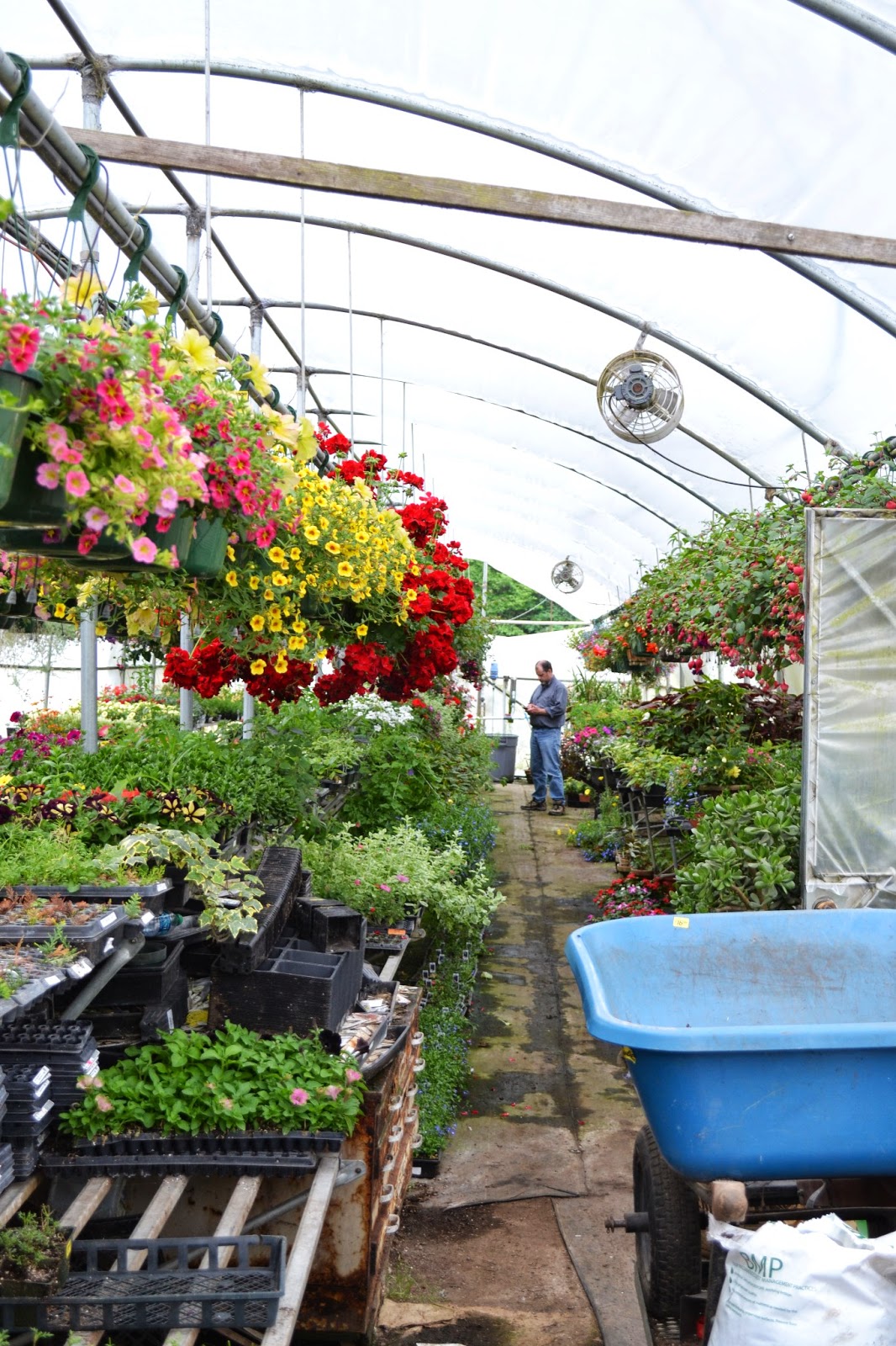 The Outlaw Gardener Vashon Island Part 3; Visiting Kathy's Corner Nursery