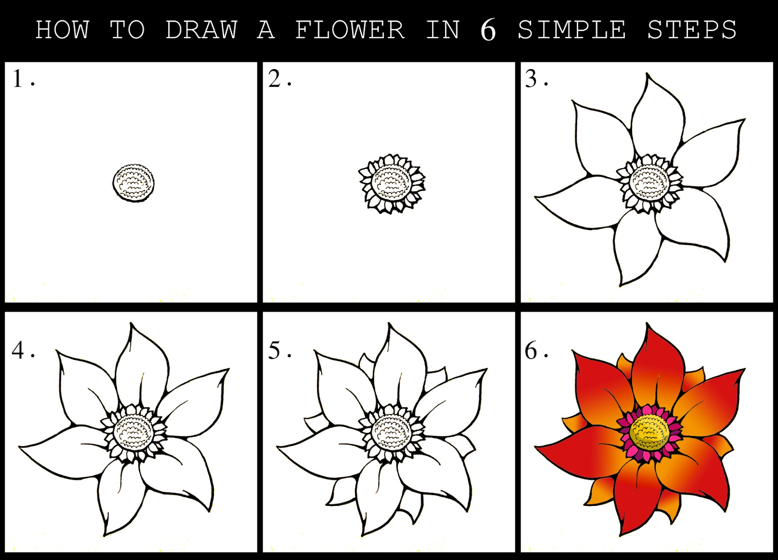 Animal How To Draw A Flower Step By Step Sketches for Beginner