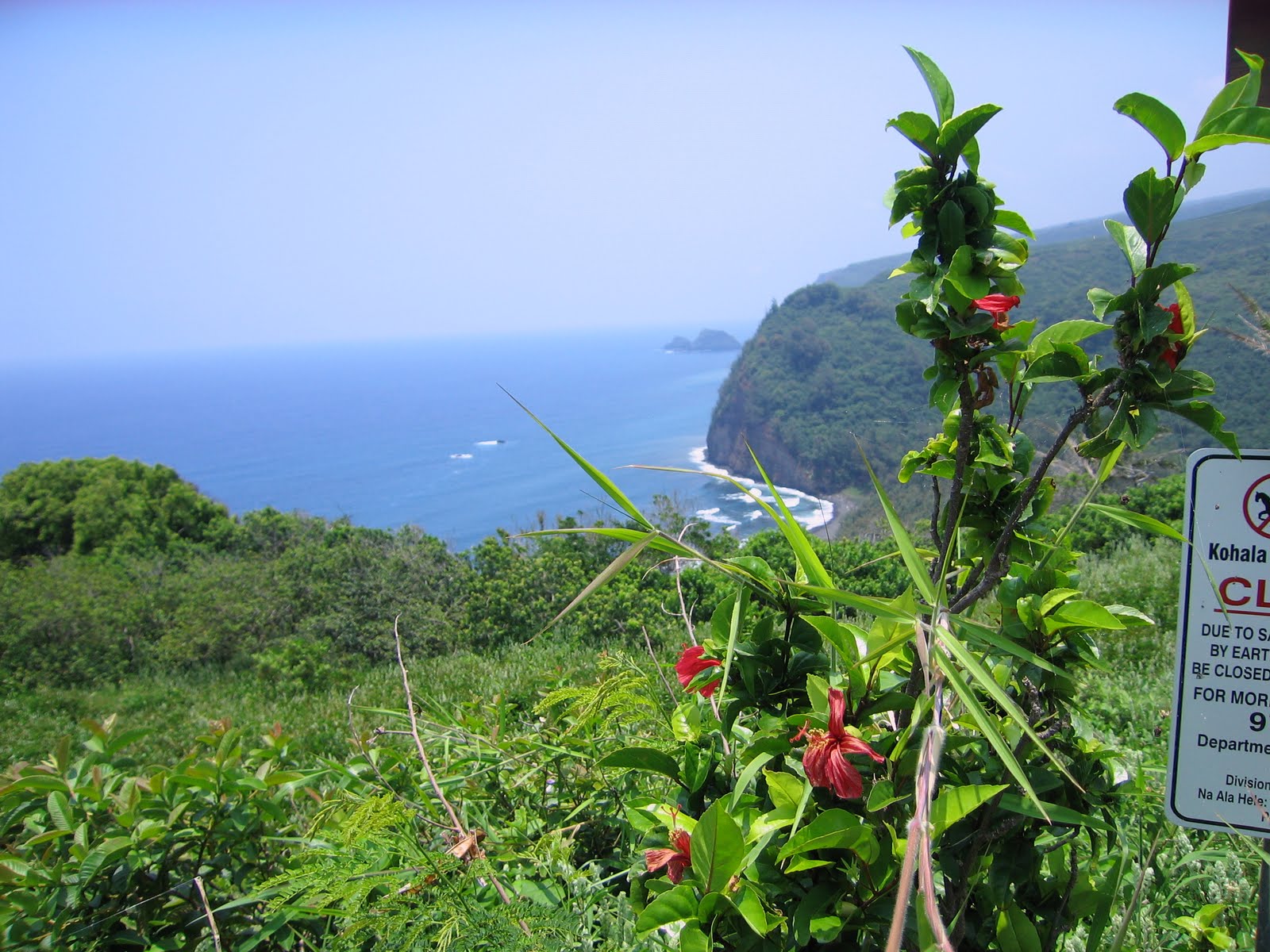 Hawaii Land