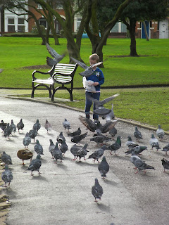 feeding the ducks and pigeons with breadcrumbs