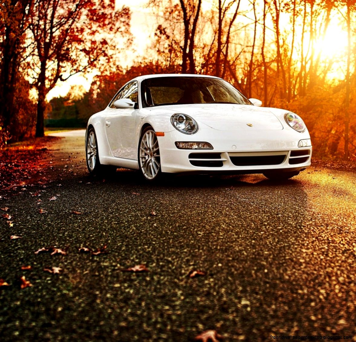 porsche 911 road autumn hd wallpaper   Wallpaper HD   Wallpaper HD