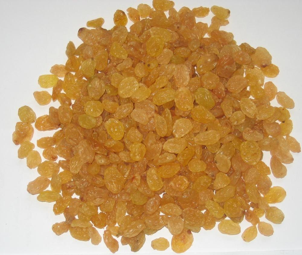 Iranian Raisin growers