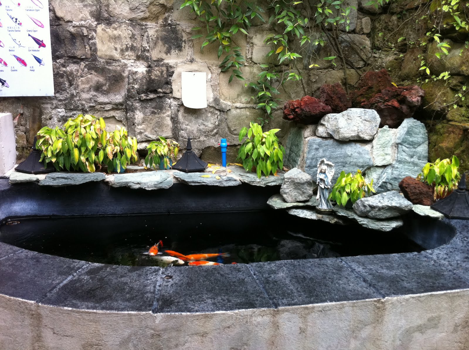 koi-pond-viewing-tower-7.jpg