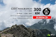 Gede Pangrango 100 • 2017