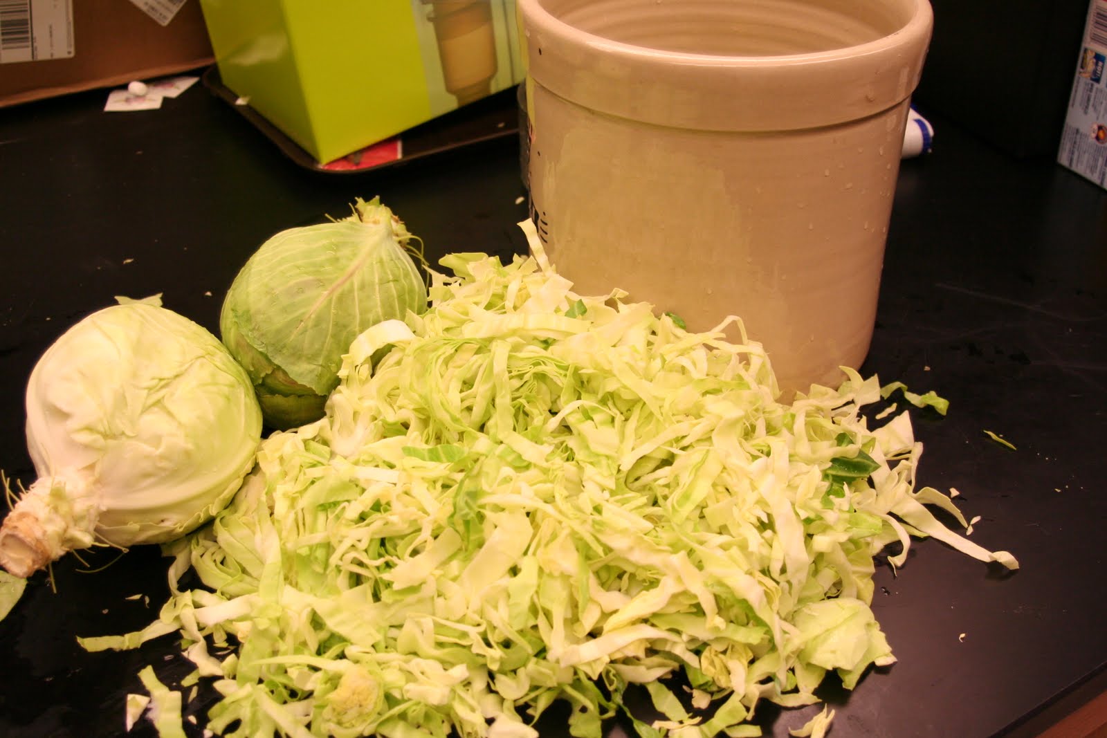 Practical Biology science for everyone Sauerkraut disaster