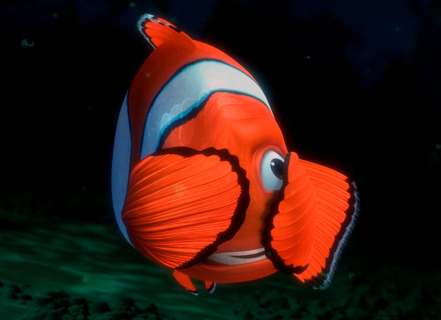 Finding Nemo Marlin Scared Finding Nemo Marlin Scared