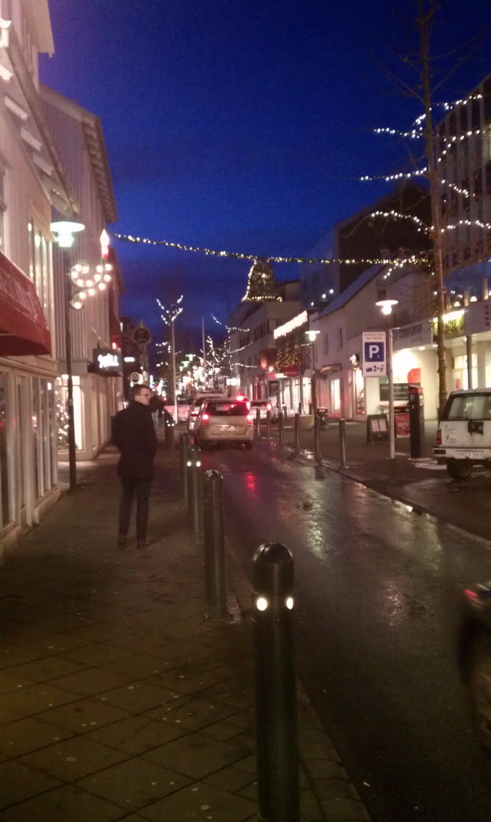 Destination Eats Iceland Reykjavik and Fish & Chips