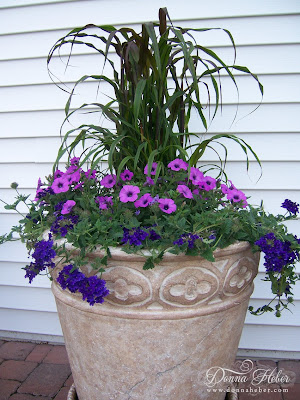 Donna's Designs: Potted Containers