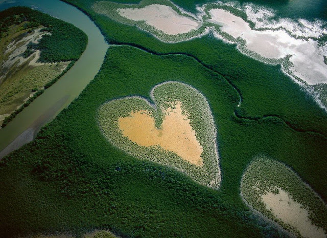 Фотограф Yann Arthus-Bertrand.Вся красота Земли с высоты