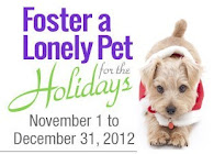 foster a lonely pet for the holidays