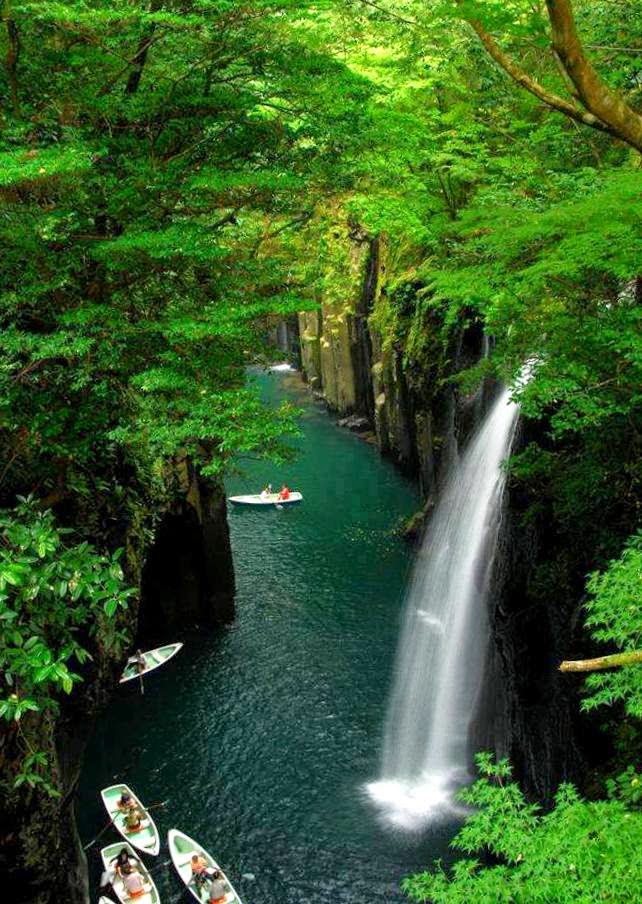 Kepentingan Kepelbagaian Bio Atau Biodiversiti Relaks Minda