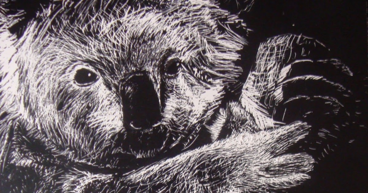 MSc BMC Application Artwork Koala scratchart paper