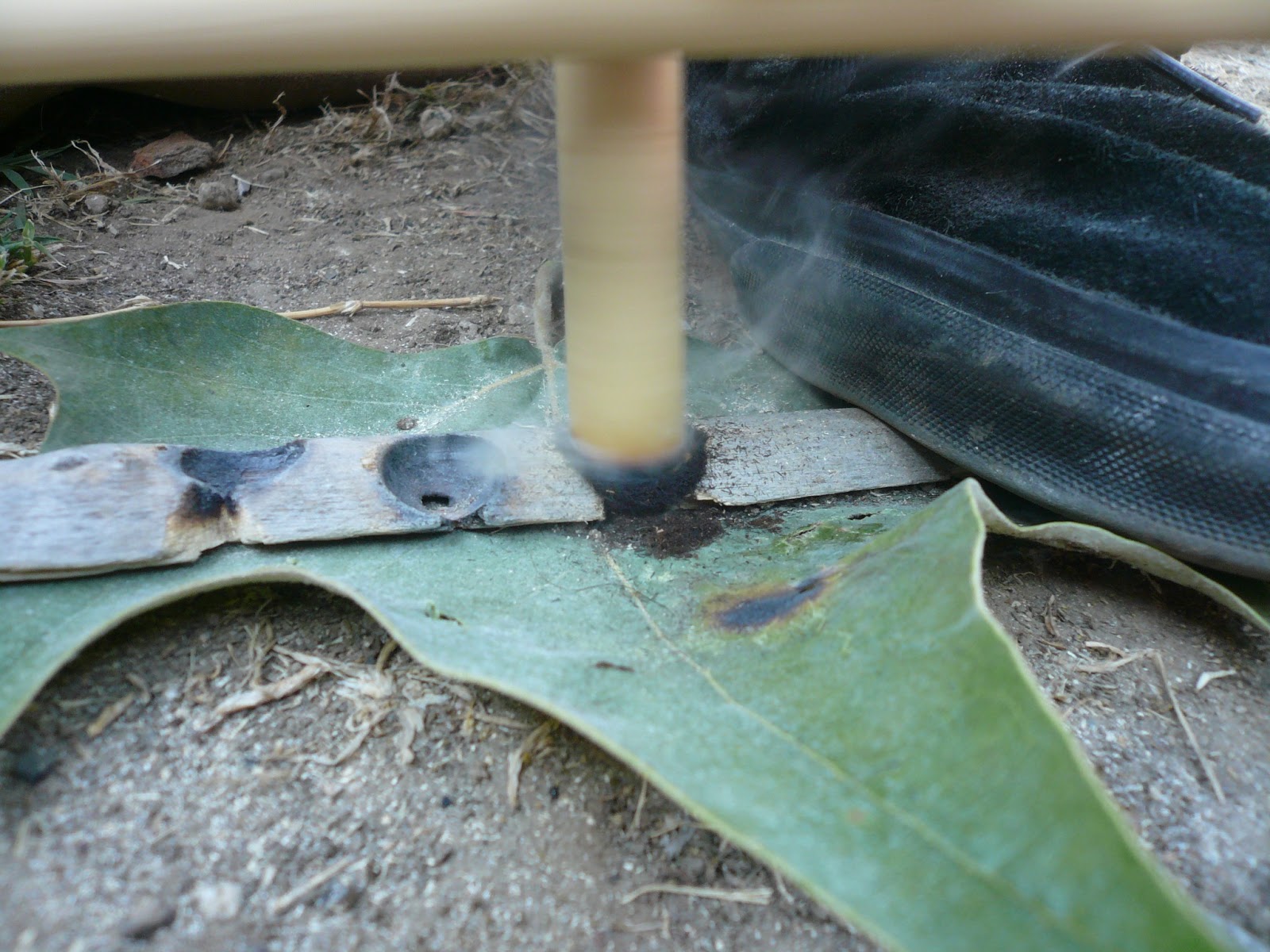 Countryman Foraging California's Wild Side Fire by Friction