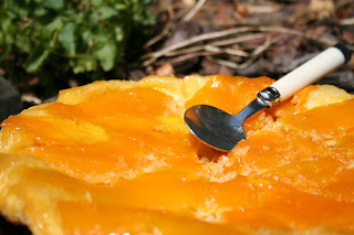 tarte tatin mangue et noix de coco Juillet+2011+007