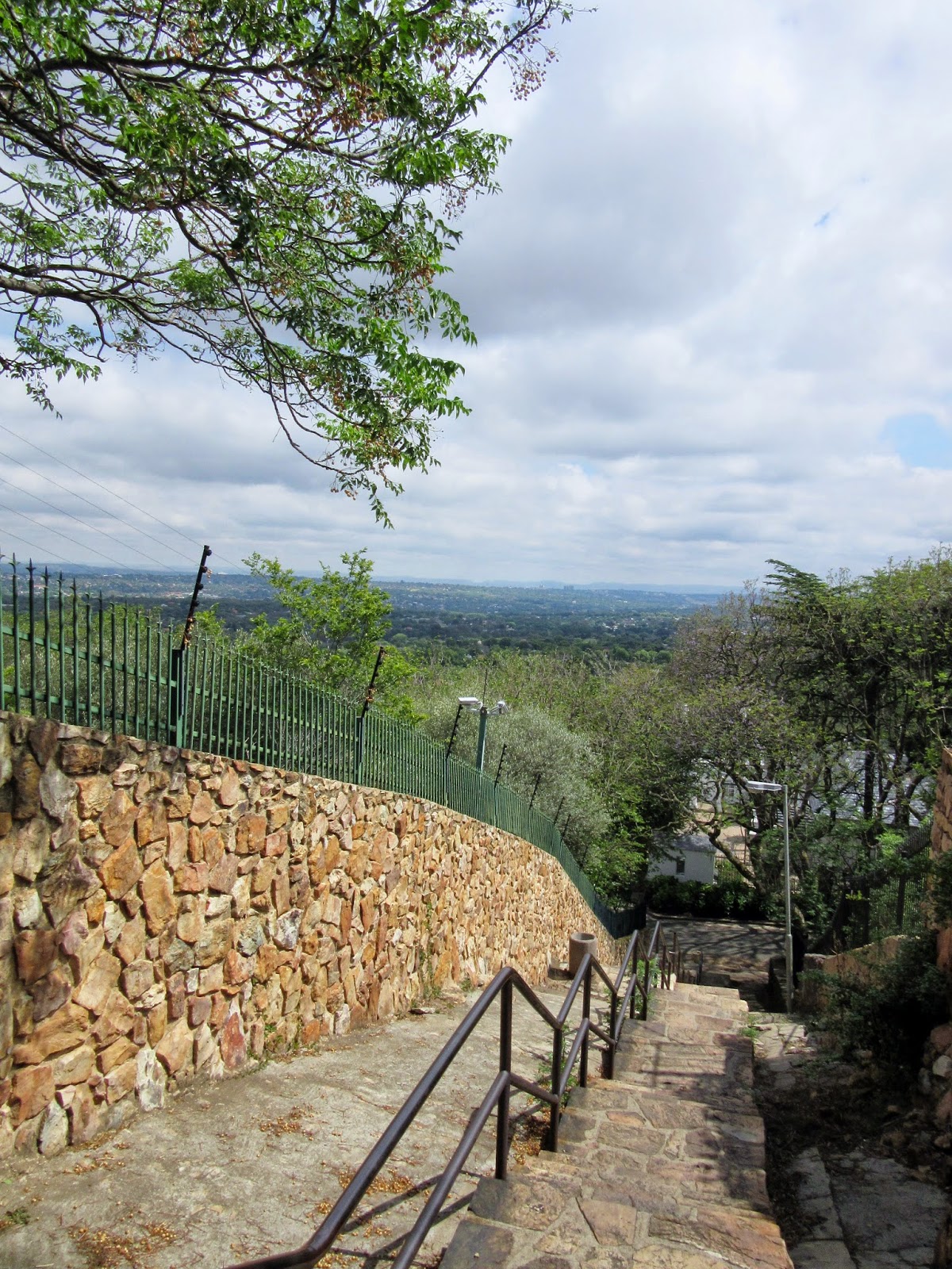 The Great Wildebeest Migration The Westcliff Stairs