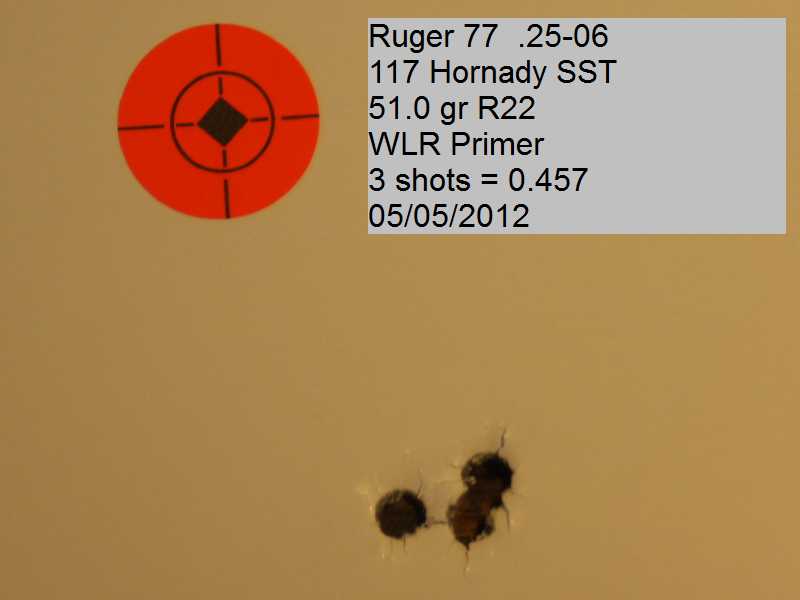 Ruger+01.jpg