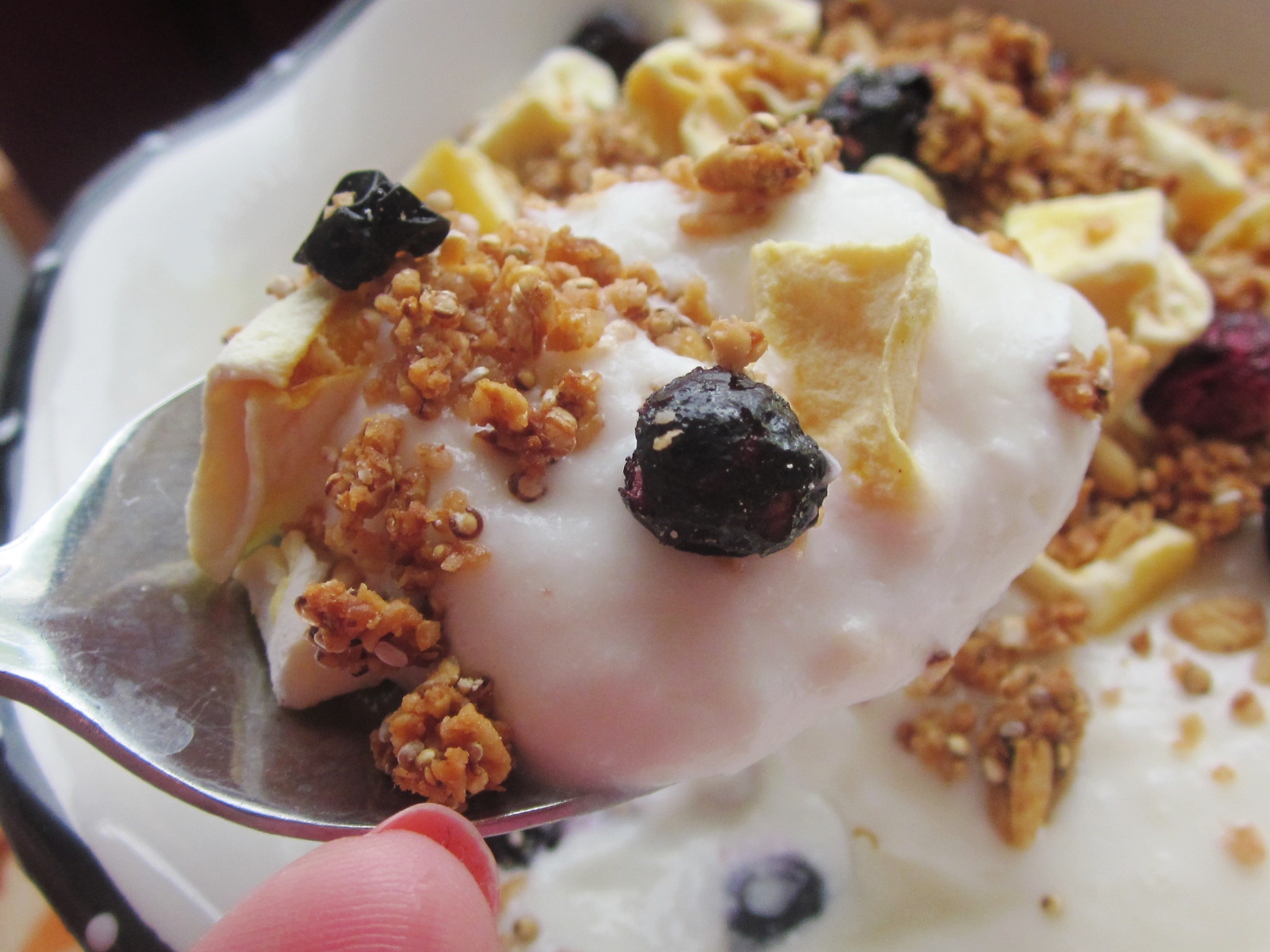 Chef Tess Bakeresse Homemade QuinoaAmaranth Mango Blueberry Granola
