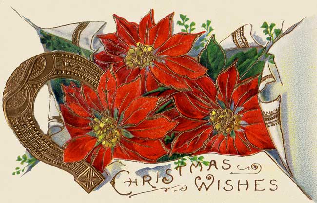 All About Christmas: More Vintage Poinsettia Images