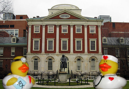 Adventures With Quacky First U S Hospital Duck Of The Day 250