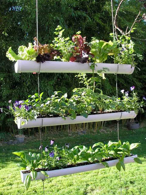 blog de decoração, jardim vertical, jardim para apartamento