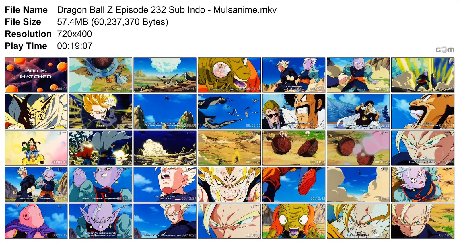 dragon ball z abridged