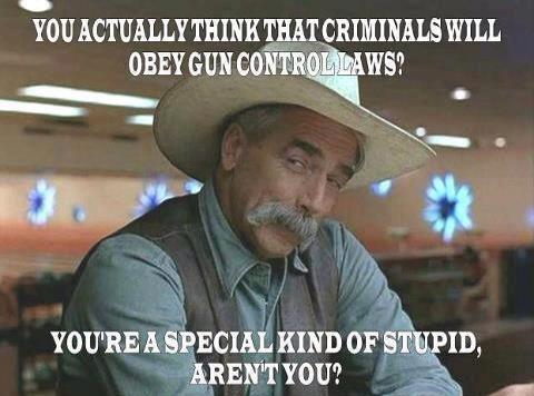 gun+laws+ignored.jpg