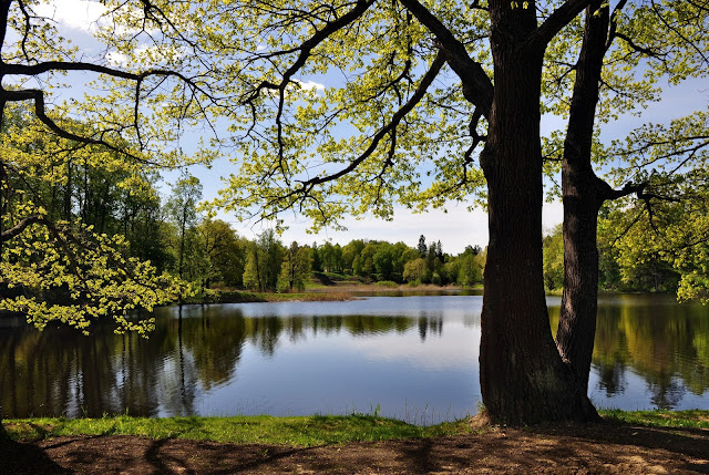 Hermosas vistas de la naturaleza - Taringa!