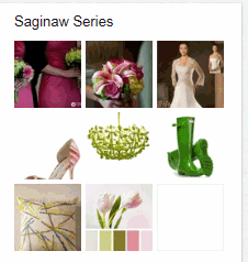 Inspiration from Pinterest for the Saginaw Series