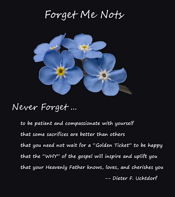 Best Forget Me Not Quotes in the year 2023 Don t miss out 