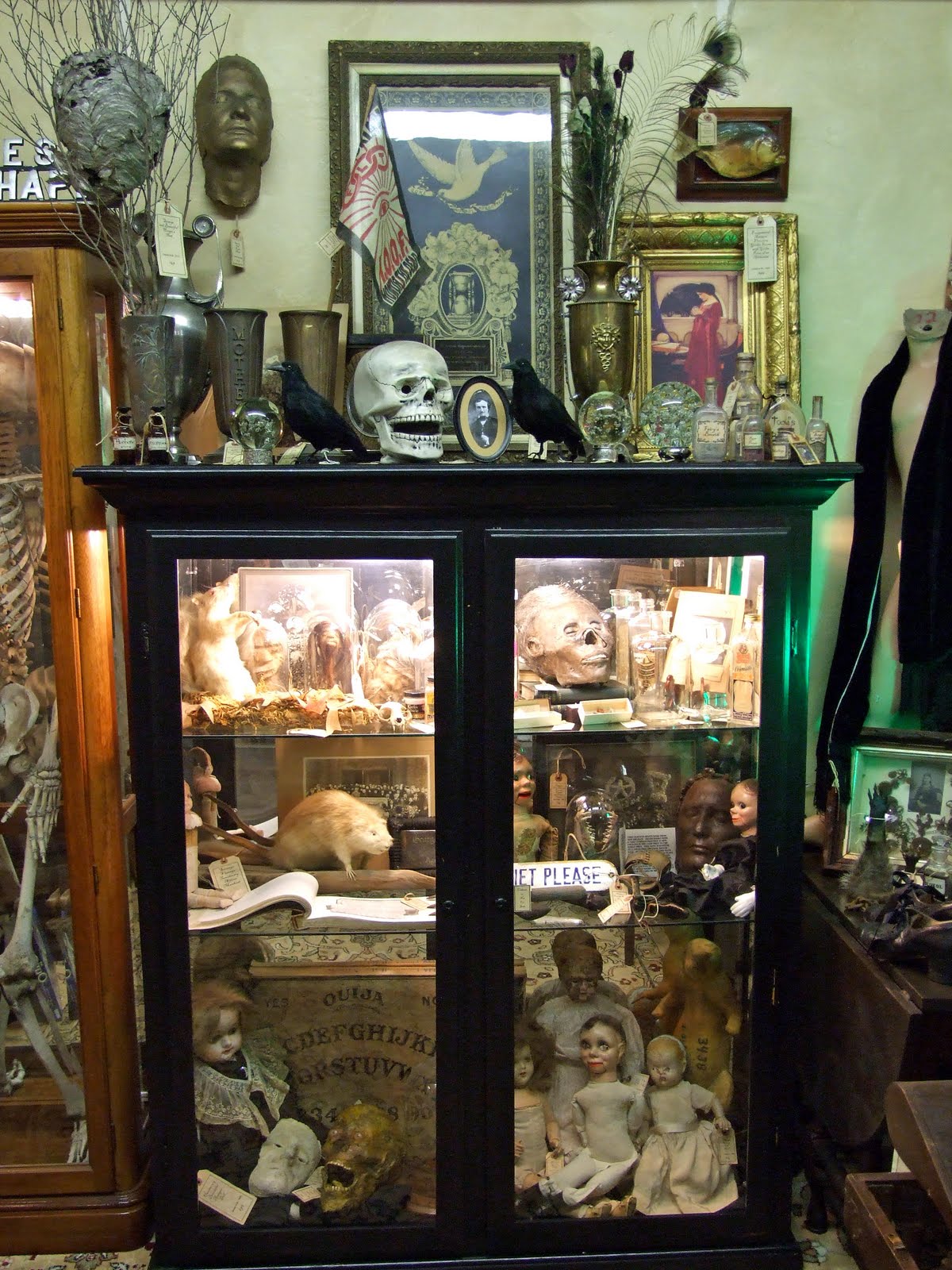 Pandora's Parlor New Antiques and Oddities at Pandora's Parlor