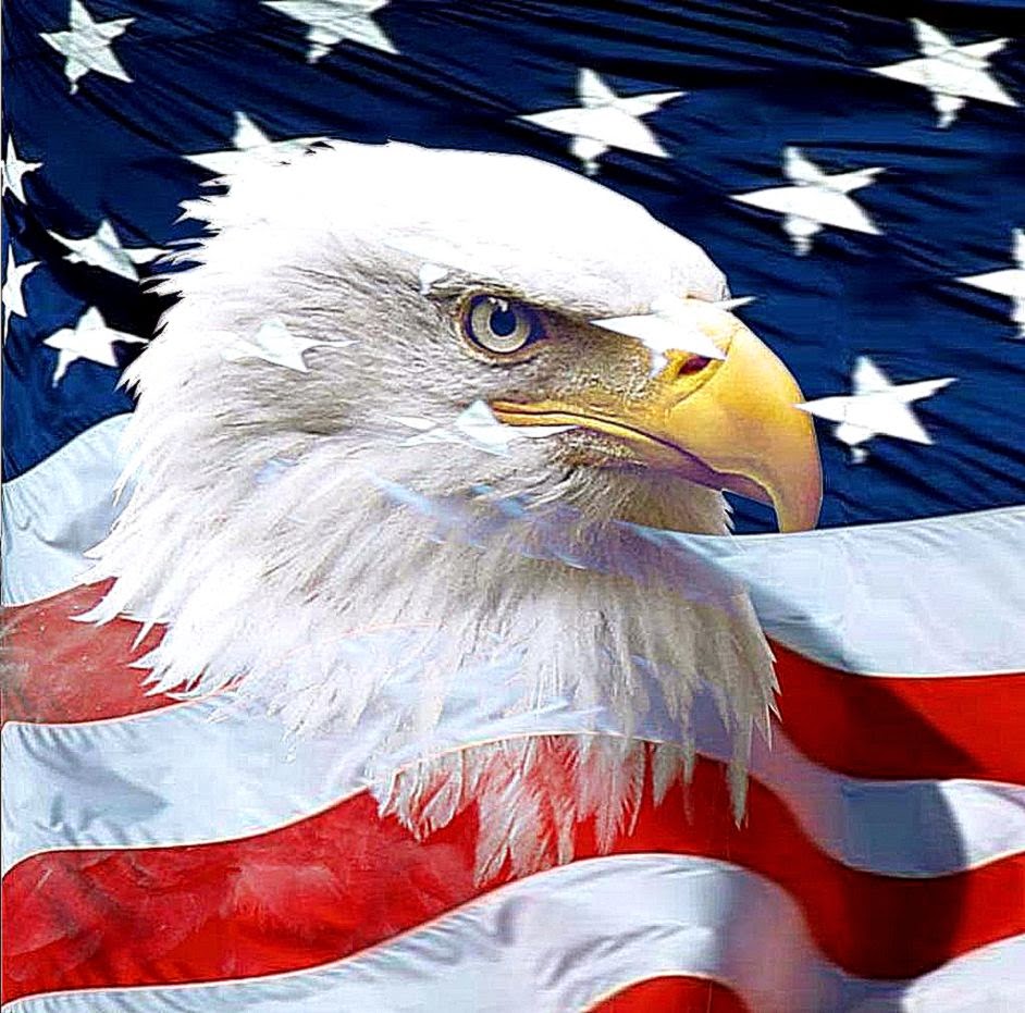 American Bald Eagle Ipad Wallpaper Your HD Wallpaper ID77116 American Bald Eagle Ipad Wallpaper Your HD Wallpaper ID77116