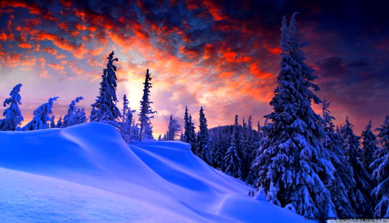 Winter Christmas HD desktop wallpaper Widescreen High Winter Christmas HD desktop wallpaper Widescreen High