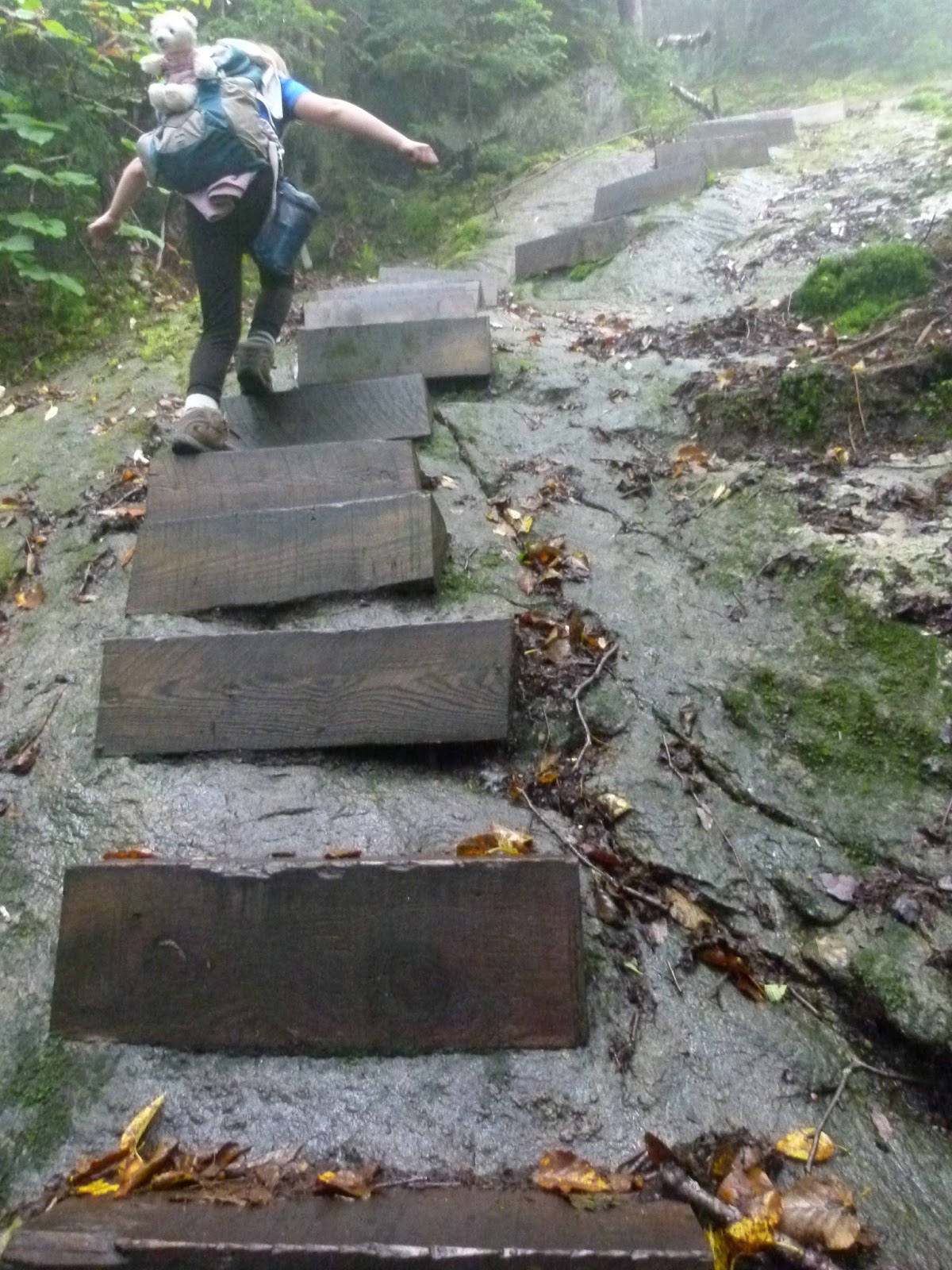 The Terrifying 25 Beaver Brook Trail