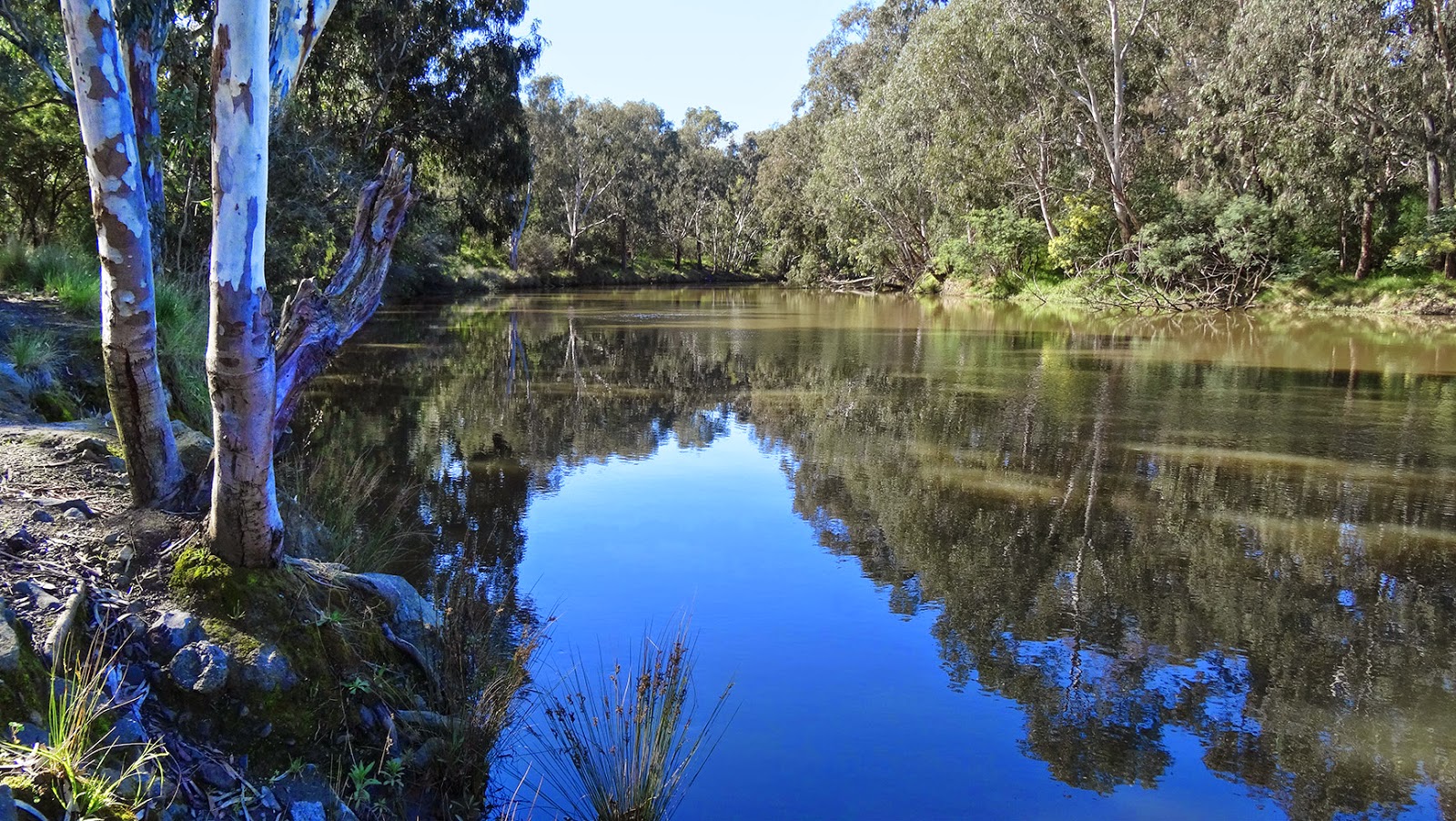 MAP YARRA BEND PARK SERENITY