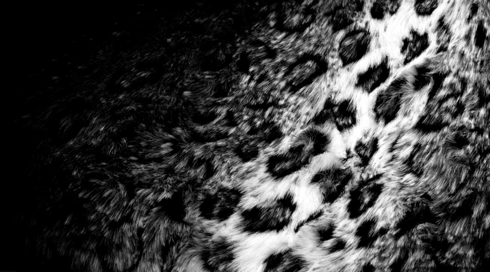 Black and White Leopard Fur Background Black and White Leopard Fur Background