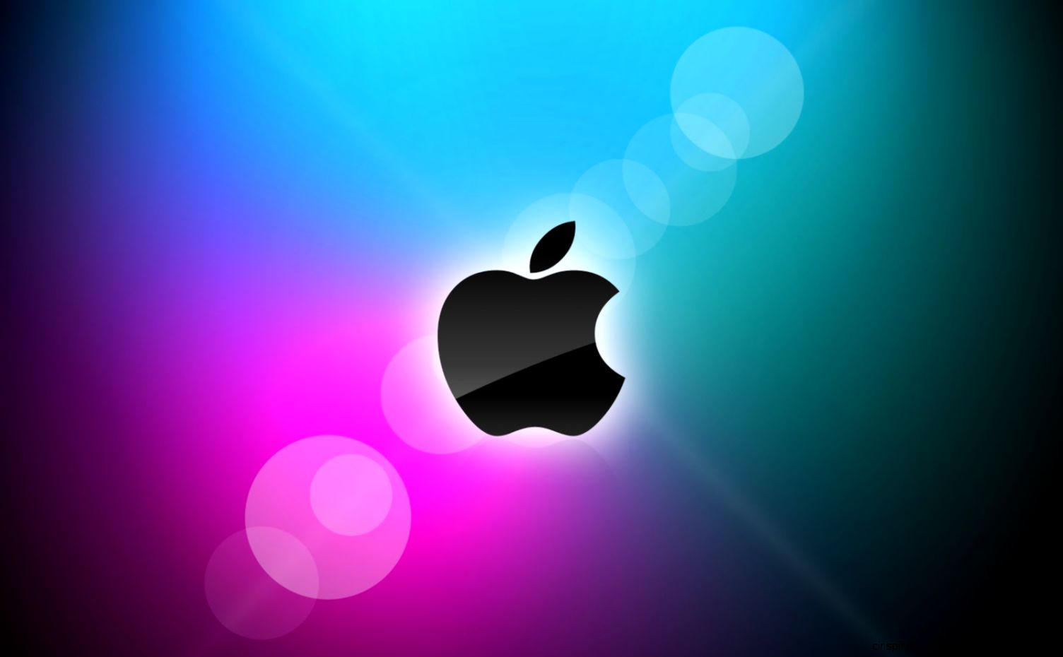 Apple Logo Apple Logo