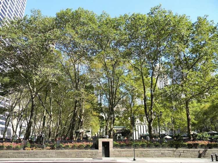 Sim, há praças arborizadas em Nova Iorque!